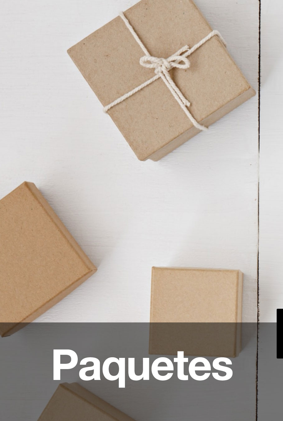 Paquetes